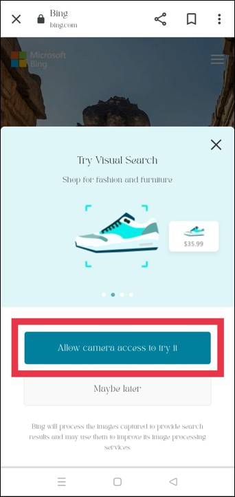 Bing Image Search Access Popup