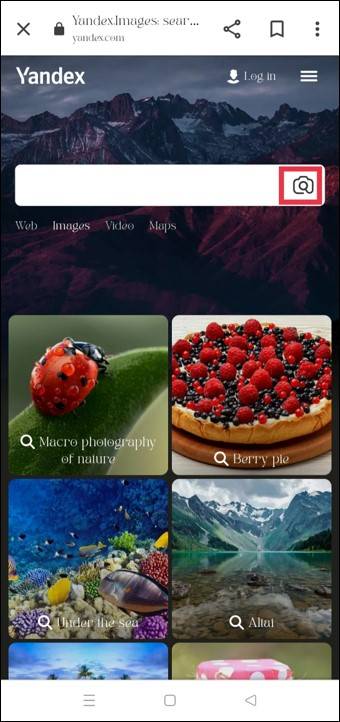 Yandex Image Search Page