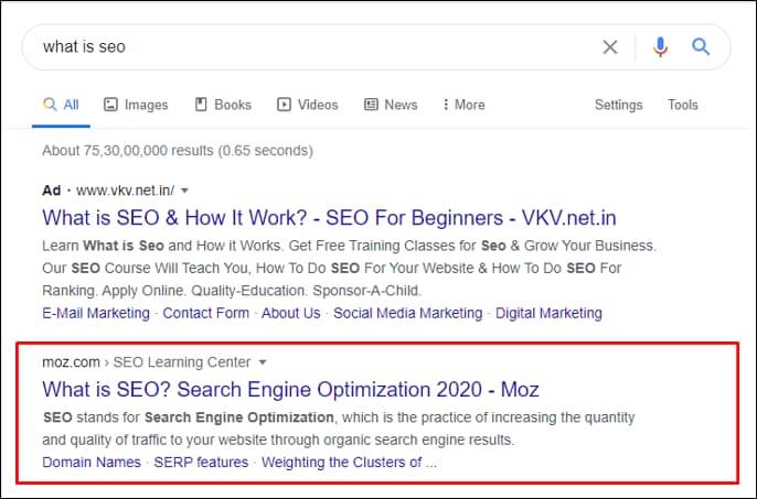 SEO (Search Engine Optimization)