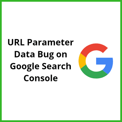 URL parameter Data Bug