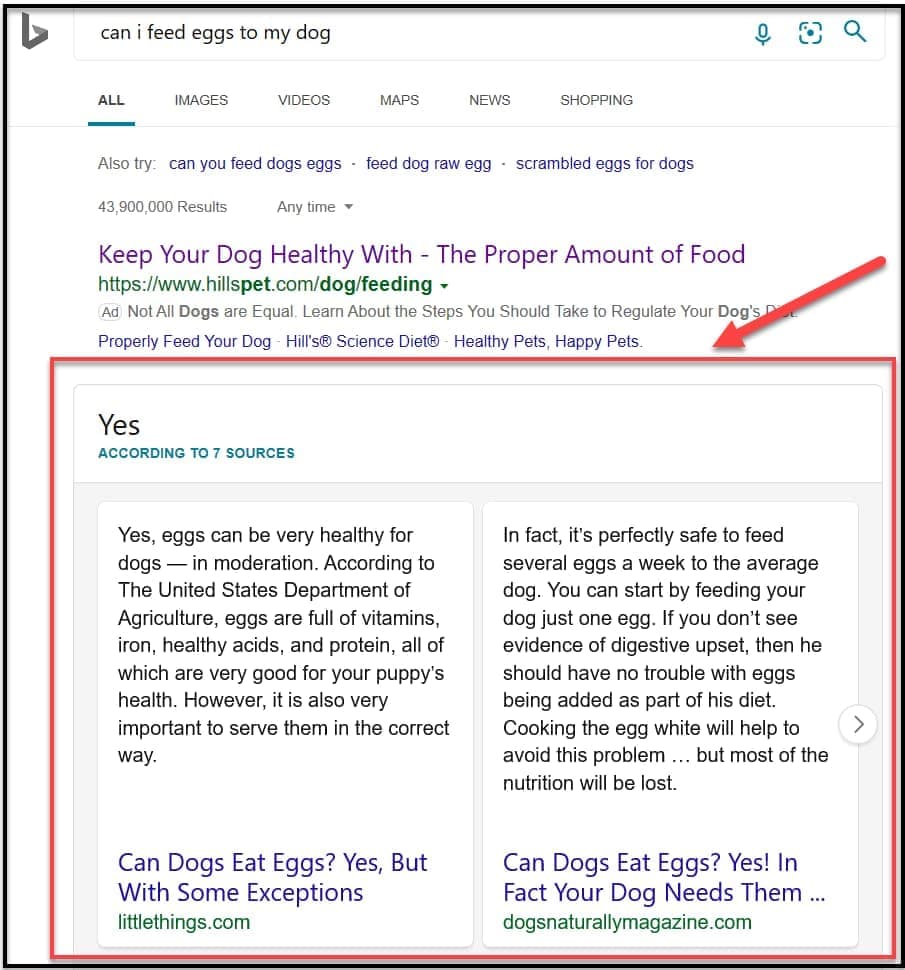 Bing Updated Search Results