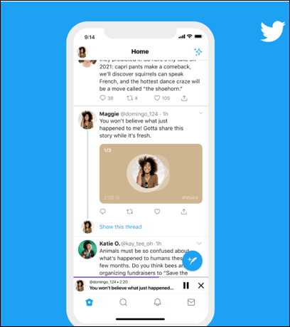 Once voice tweets are published, it will be visible to all your followers