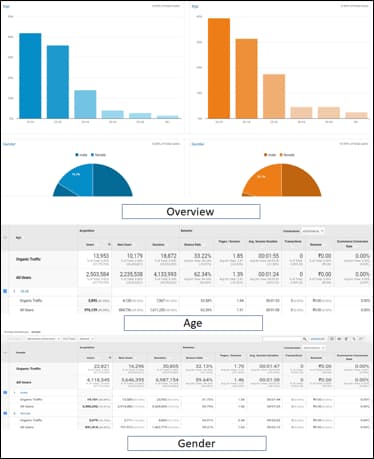 Demographics