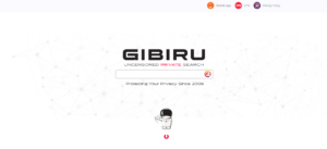 Gibiru - Search Engine List | Infidigit