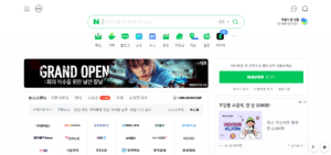 Naver - Search Engine List | Infidigit