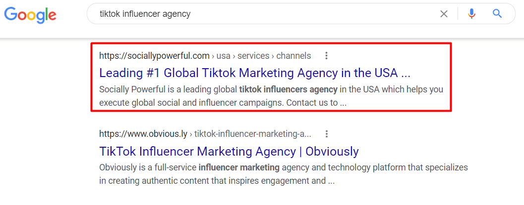 Tiktok Influencer Agency 