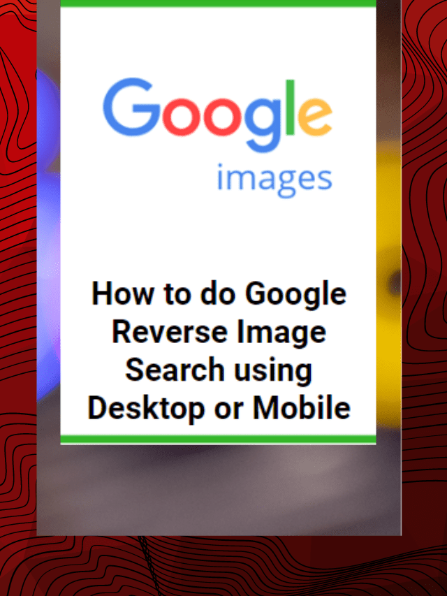 Google reverse image search