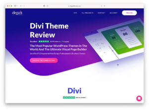 Divi Theme